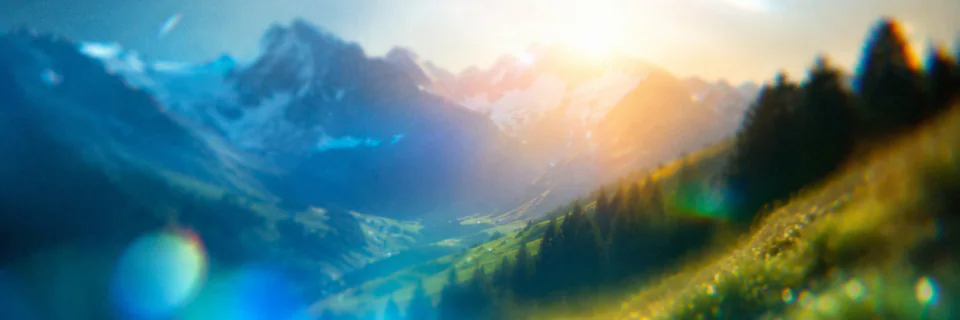 X banner “aryan” for aryan